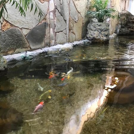 Hotel Luz Fronteira 外观 照片