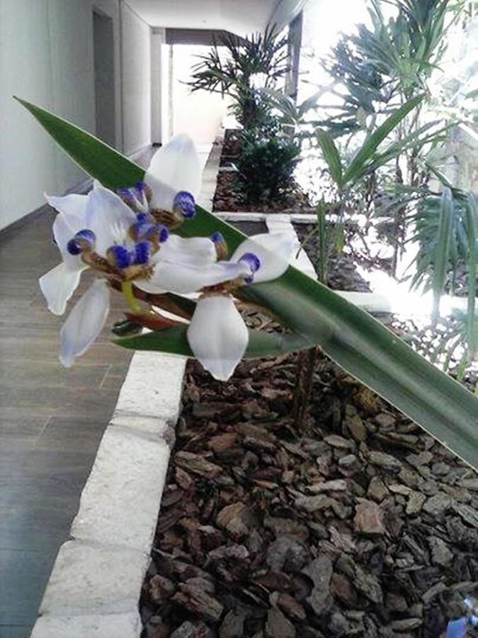 Hotel Luz Fronteira 外观 照片