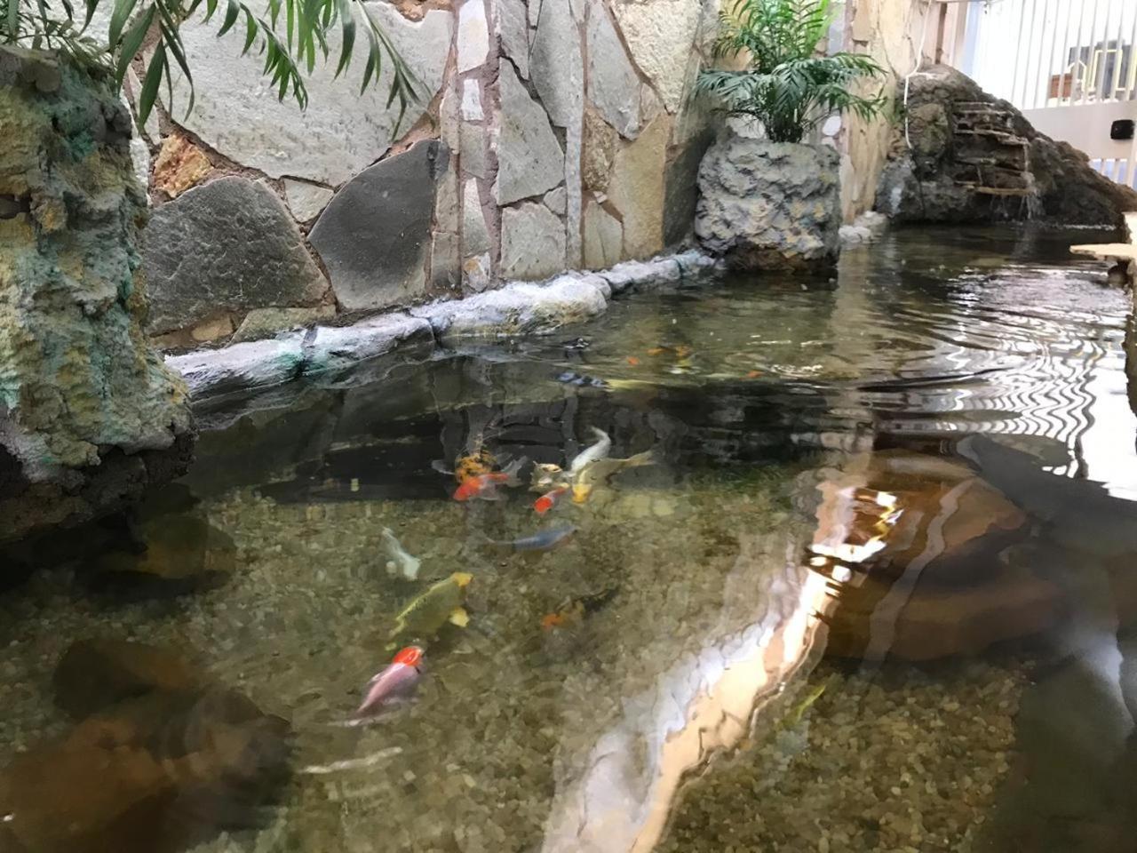 Hotel Luz Fronteira 外观 照片