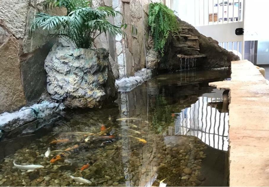 Hotel Luz Fronteira 外观 照片